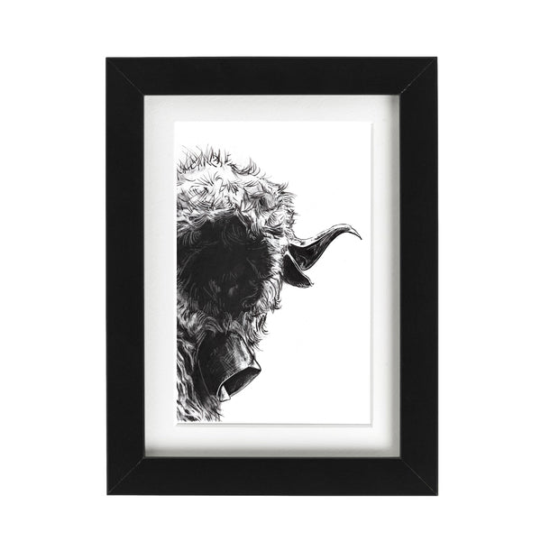 Black Nose Sheep Art Print