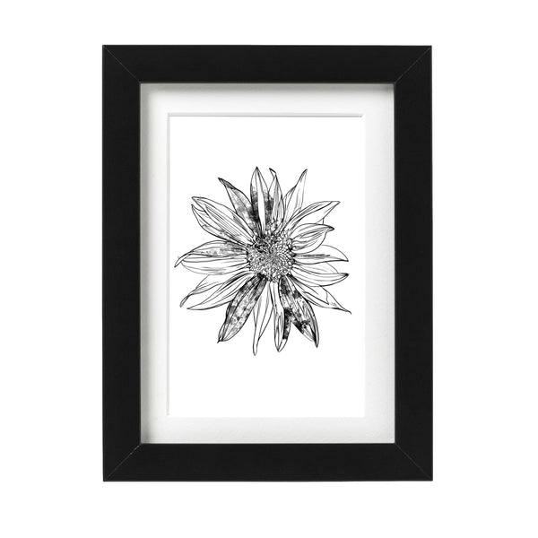 Sunflower Art Print