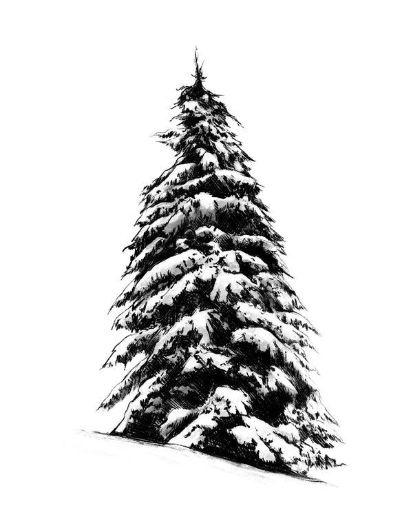 Snowy Pine Tree Art Print