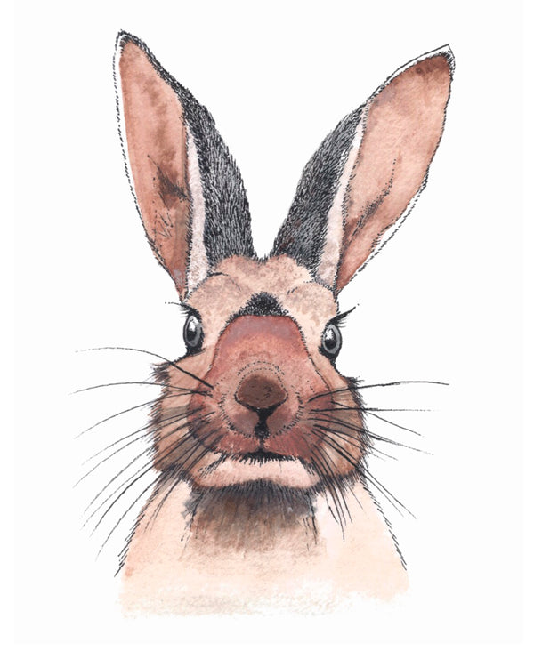 Wild Rabbit Wall Art Print