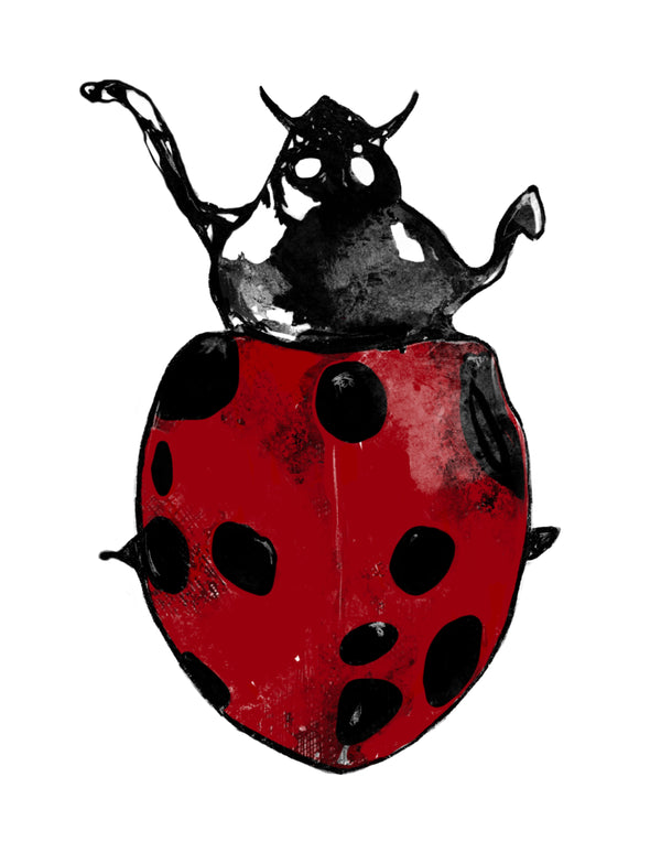 Lady Bug Art Print