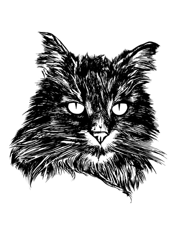 Longhair Cat Art Print