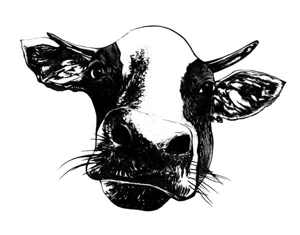 Moody Cow Art Print