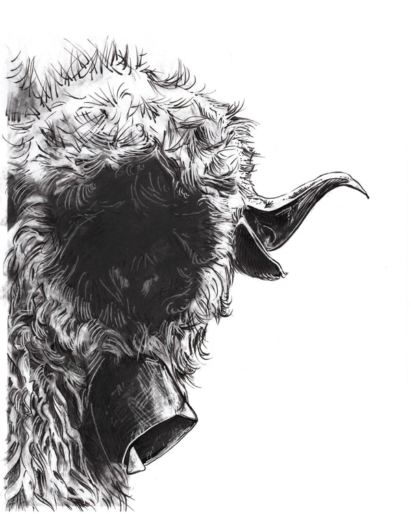 Black Nose Sheep Art Print